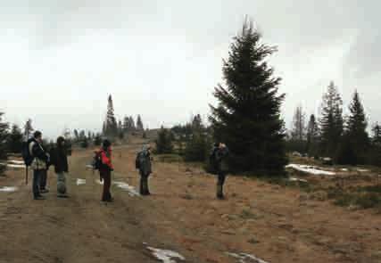 Międzynarodowa