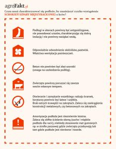 Występowaniu tych schorzeń sprzyjają nieodpowiednie warunki środowiskowe, a zwłaszcza utrzymywanie bydła na wilgotnym podłożu.