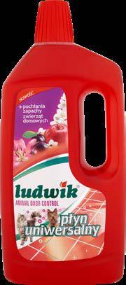 PROMO oferta