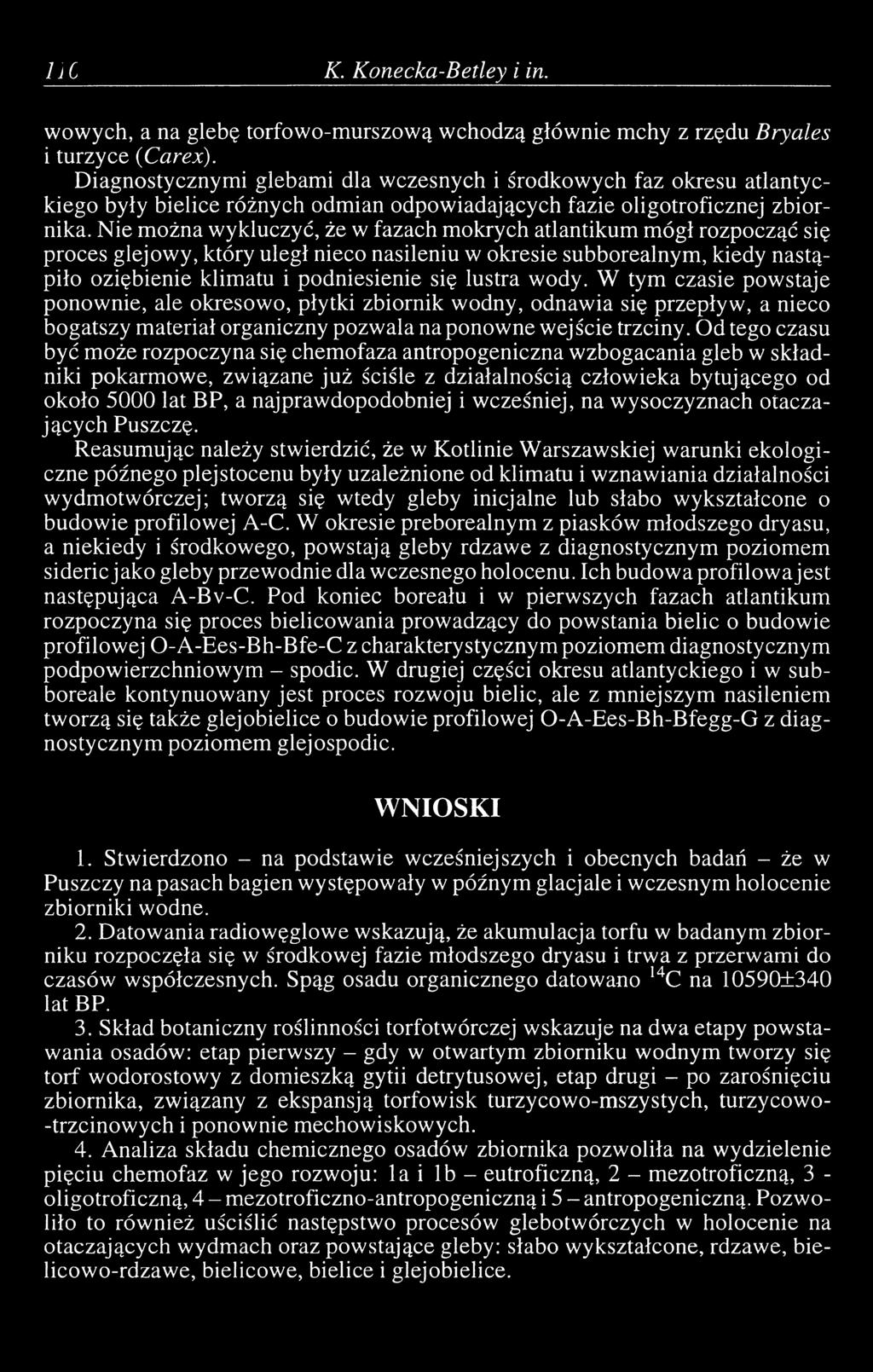 Nie można wykluczyć, że w fazach mokrych atlantikum mógł rozpocząć się proces glejowy, który uległ nieco nasileniu w okresie subborealnym, kiedy nastąpiło oziębienie klimatu i podniesienie się lustra