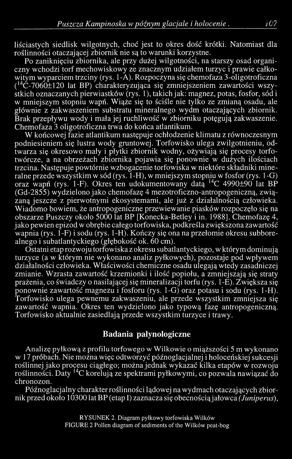 Rozpoczyna się chemofaza 3-oligotroficzna ( 14C-706Q±120 lat BP) charakteryzująca się zmniejszeniem zawartości wszystkich oznaczanych pierwiastków (rys.