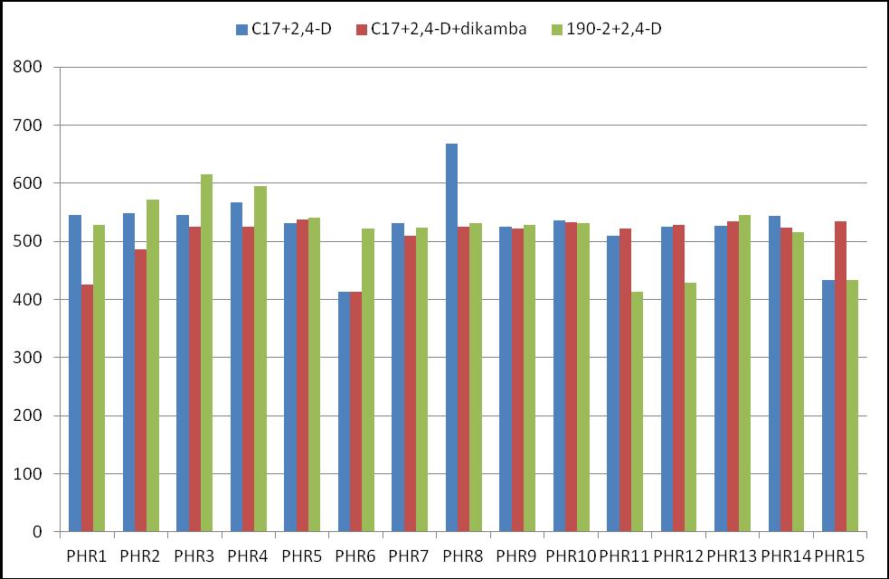 umieszczano na pożywce zmodyfikowanej pożywce MS z dodatkiem 50.000 mg/l sacharozy i 2mg/l 2,4-D (Murashige i Skoog, 1962). Kultury zarodków prowadzono wg metodyki Wędzony (2003).