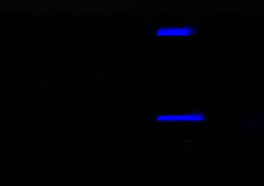 54-049 Wrocław tel. 502 269 054 andant@cyberia.pl Jadwiga Hołojda 1 stycznia 2018 r.