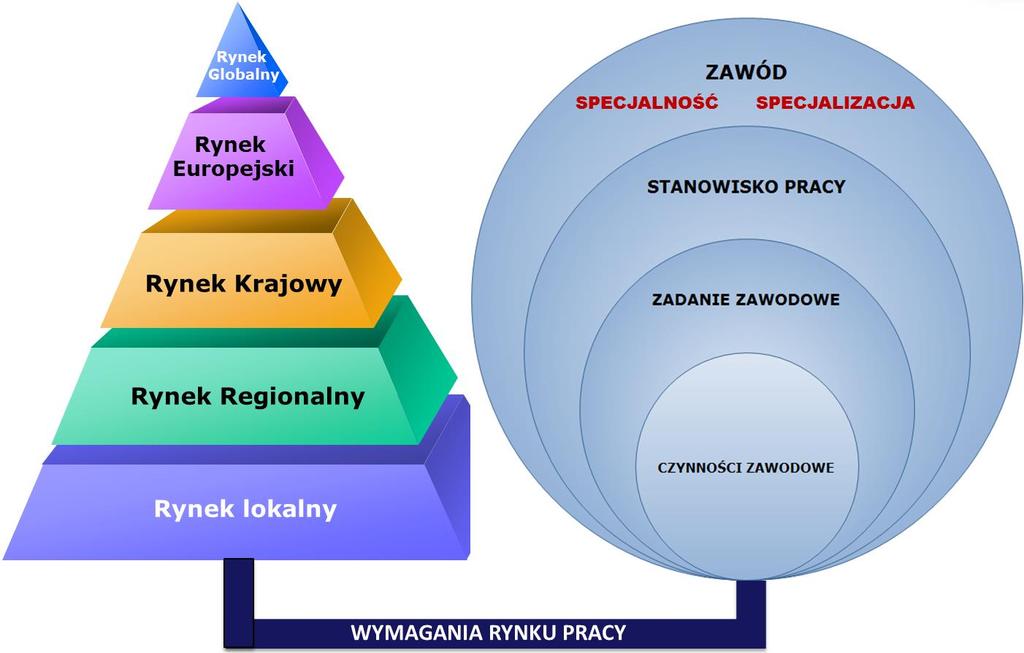 TEZA 1 Wymagania gospodarki i rynek pracy