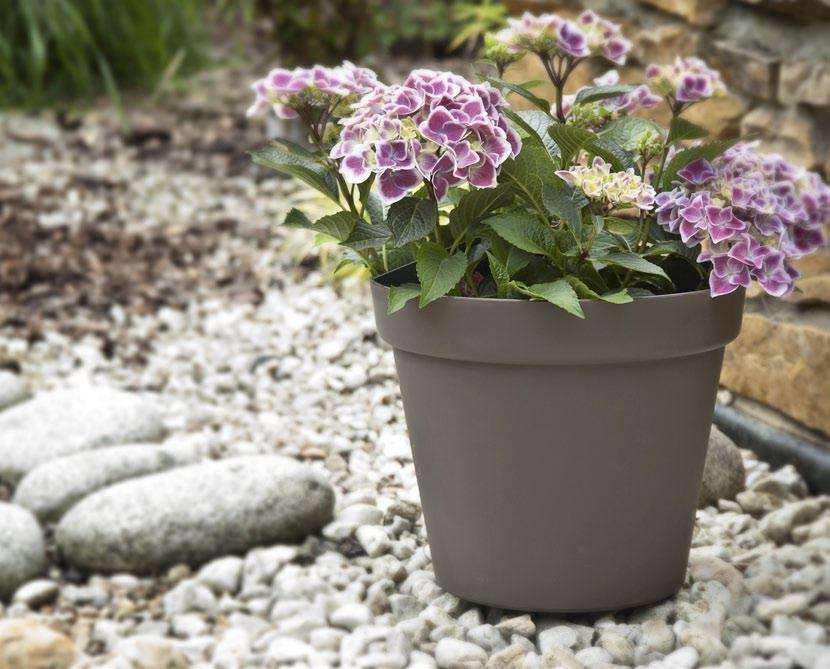 Patio natural touch POT doniczka DIMENSIONS (mm) wymiary (mm) 110x94 150x126 190x160 260x220 340x290 L 11 6480 135 15 0,6 15 2640 132 12 1,4 19 1152 48 8 3 26 384 16 8 7 34 360-10 17 11 15 19 26 34