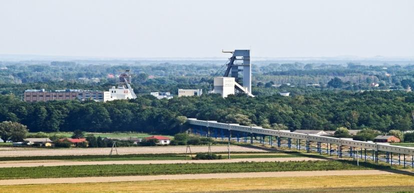 będącego elementem realizacji Trójstronnego porozumienia na rzecz krwiodawstwa, krwiolecznictwa i dawstwa szpiku oraz oddolnych, pracowniczych akcji charytatywnych na rzecz grup znajdujących się w