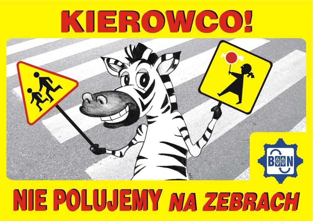 Nigdy nie wolno wychodzić na jezdnię zza samochodu.