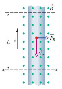 Przewód z prądem w polu magnetycznym Pole magnetyczne wytwarza poprzeczną siłę, która działa na elektrony działa ona również na przewodnik z prądem.
