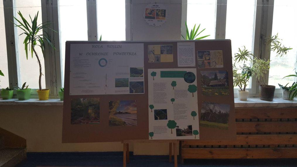 GAZETKA SZKOLNA Uczniowie klas IIB gimnazjum na kółku geograficznym przygotowali gazetkę szkolną informującą o roli roślin w ochronie powietrza.