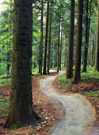 6 BIULETYN INFORMACYJNY URZĘDU GMINY ZAWOJA 2/2018 Turystyczna strona gminy Zawoja Babia Góra Trails Zrealizowanie projektu było możliwe dzięki środkom z Programu Współpracy Transgranicznej Interreg