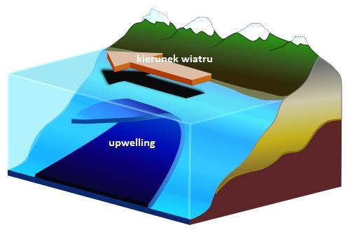 Natomiast, gdy wiatr wieje w kierunku brzegu, generując prąd dryfowy, następuje transport mas wodnych na coraz płytsze obszary akwenu.