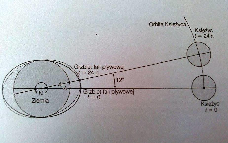 Ze względu na ruch obrotowy Ziemi fale pływowe przemieszczają się, zmieniając lokalizację grzbietów i