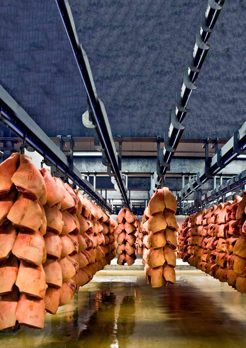 Produkty dla zakładów przetwórstwa mięsa Precyzyjna regulacja temperatury i brak korozji Kluczowe znaczenie w przetwórstwie mięsa ma dokładność, wydajność i bezpieczeństwo chłodzenia.