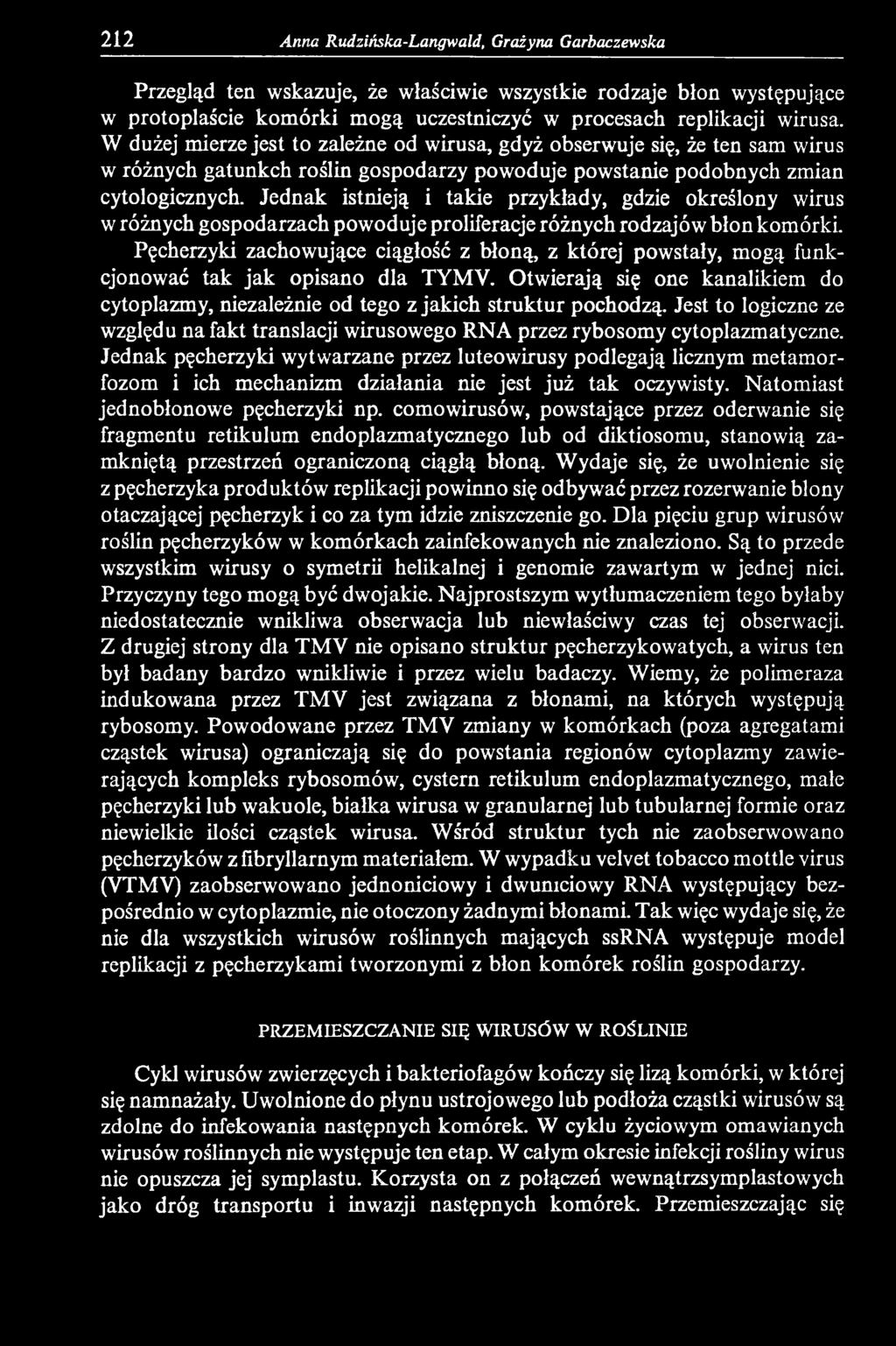 Jest to logiczne ze względu na fakt translacji wirusowego RNA przez rybosomy cytoplazmatyczne.