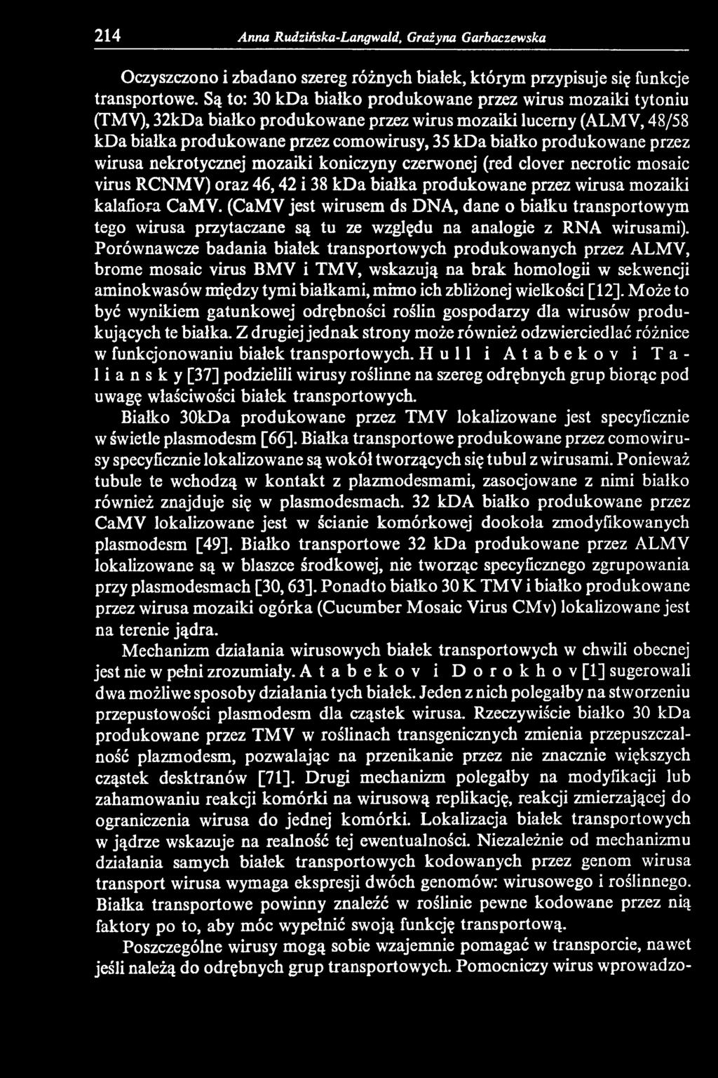 Porównawcze badania białek transportowych produkowanych przez ALMV, brome mosaic virus BMV i TMV, wskazują na brak homologii w sekwencji aminokwasów między tymi białkami, mimo ich zbliżonej wielkości
