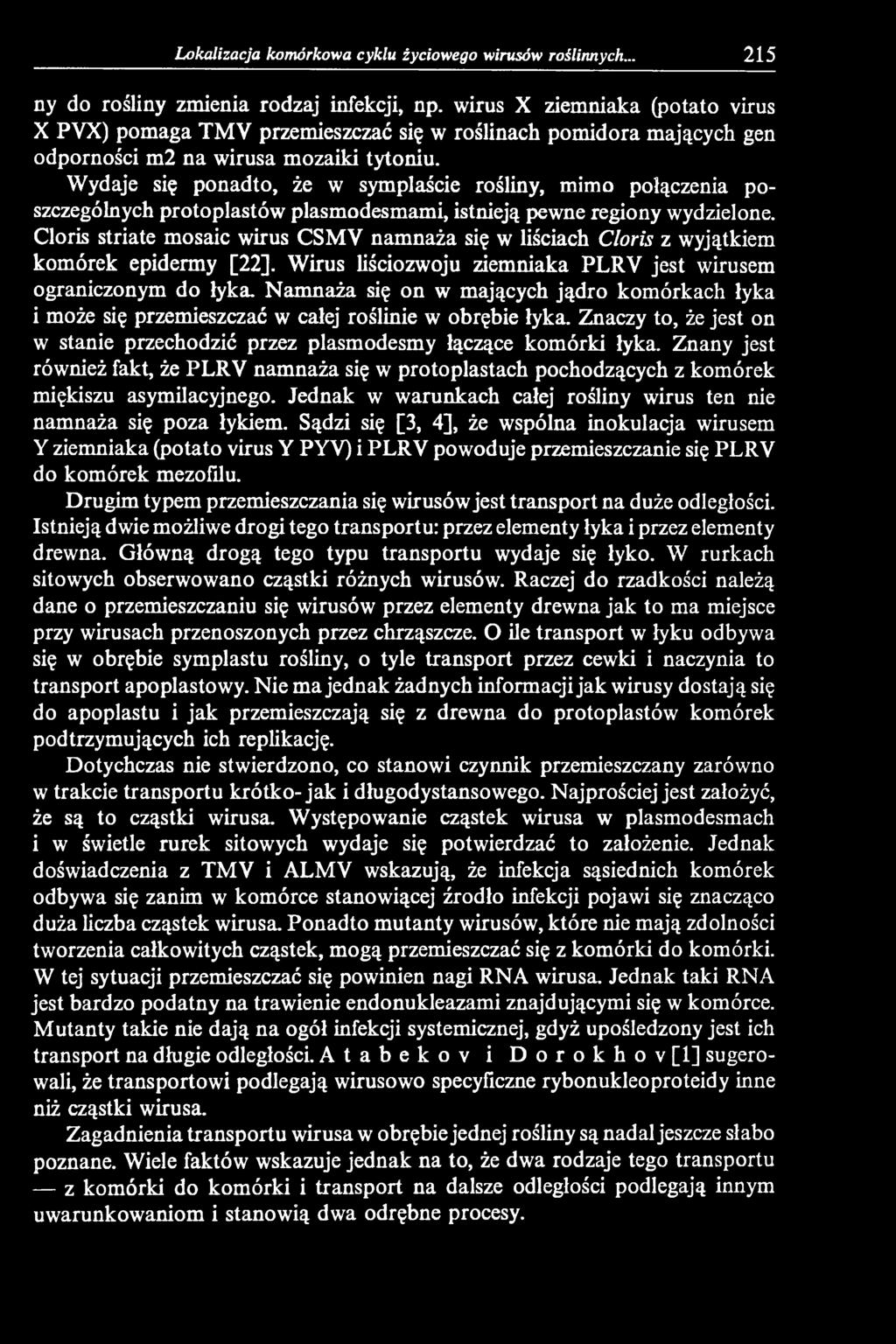 Namnaża się on w mających jądro komórkach łyka i może się przemieszczać w całej roślinie w obrębie łyka. Znaczy to, że jest on w stanie przechodzić przez plasmodesmy łączące komórki łyka.