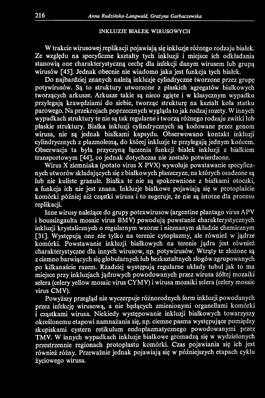 Arkusze takie są nieco zgięte i w klasycznym wypadku przylegają krawędziami do siebie, tworząc strukturę na kształt koła statku parowego. Na przekrojach poprzecznych wygląda to jak rodzaj rozety.