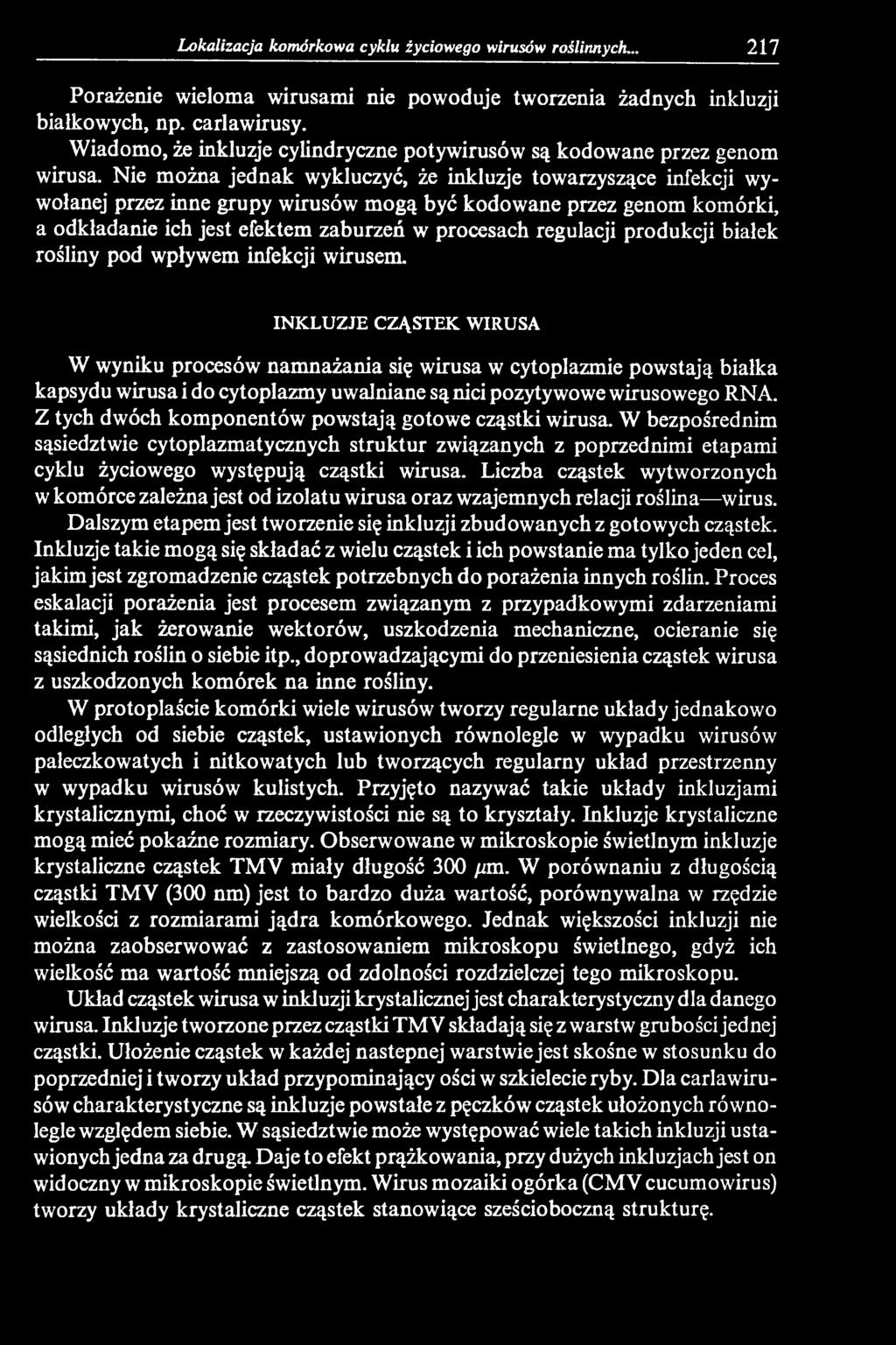 INKLUZJE CZĄSTEK WIRUSA W wyniku procesów namnażania się wirusa w cytoplazmie powstają białka kapsydu wirusa i do cytoplazmy uwalniane są nici pozytywowe wirusowego RNA.
