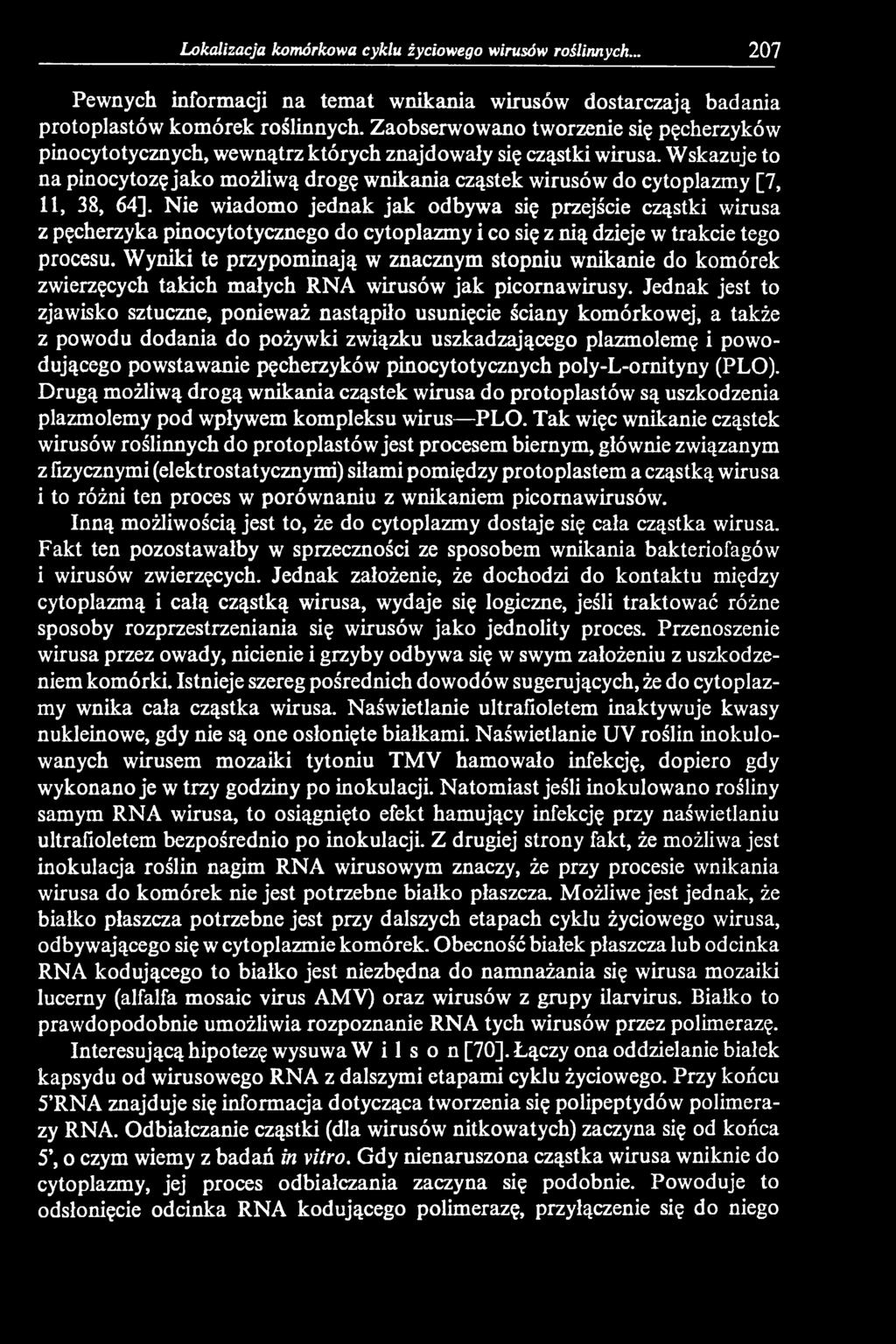 Wyniki te przypominają w znacznym stopniu wnikanie do komórek zwierzęcych takich małych RNA wirusów jak picornawirusy.