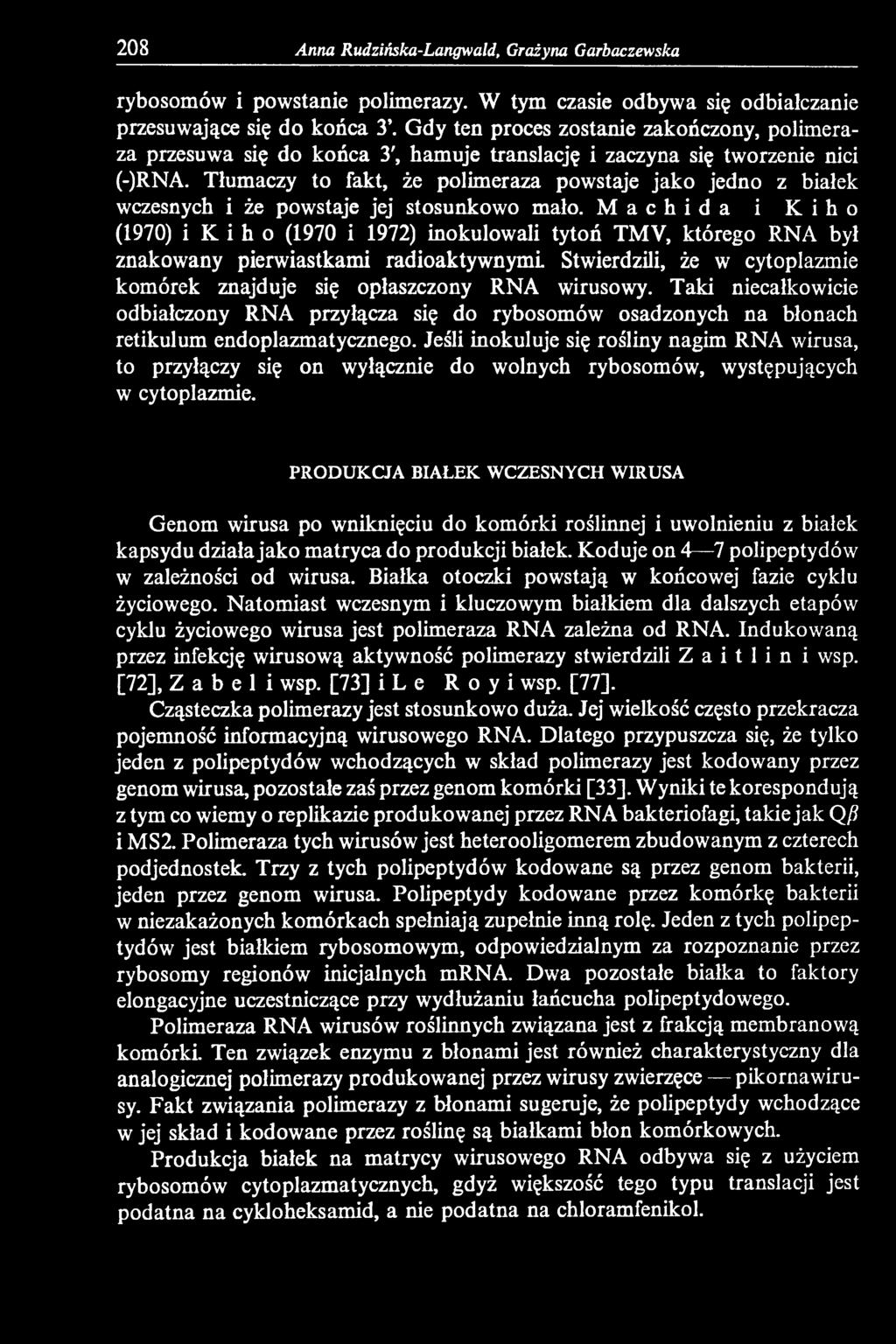 Taki niecałkowicie odbiałczony RNA przyłącza się do rybosomów osadzonych na błonach retikulum endoplazmatycznego.