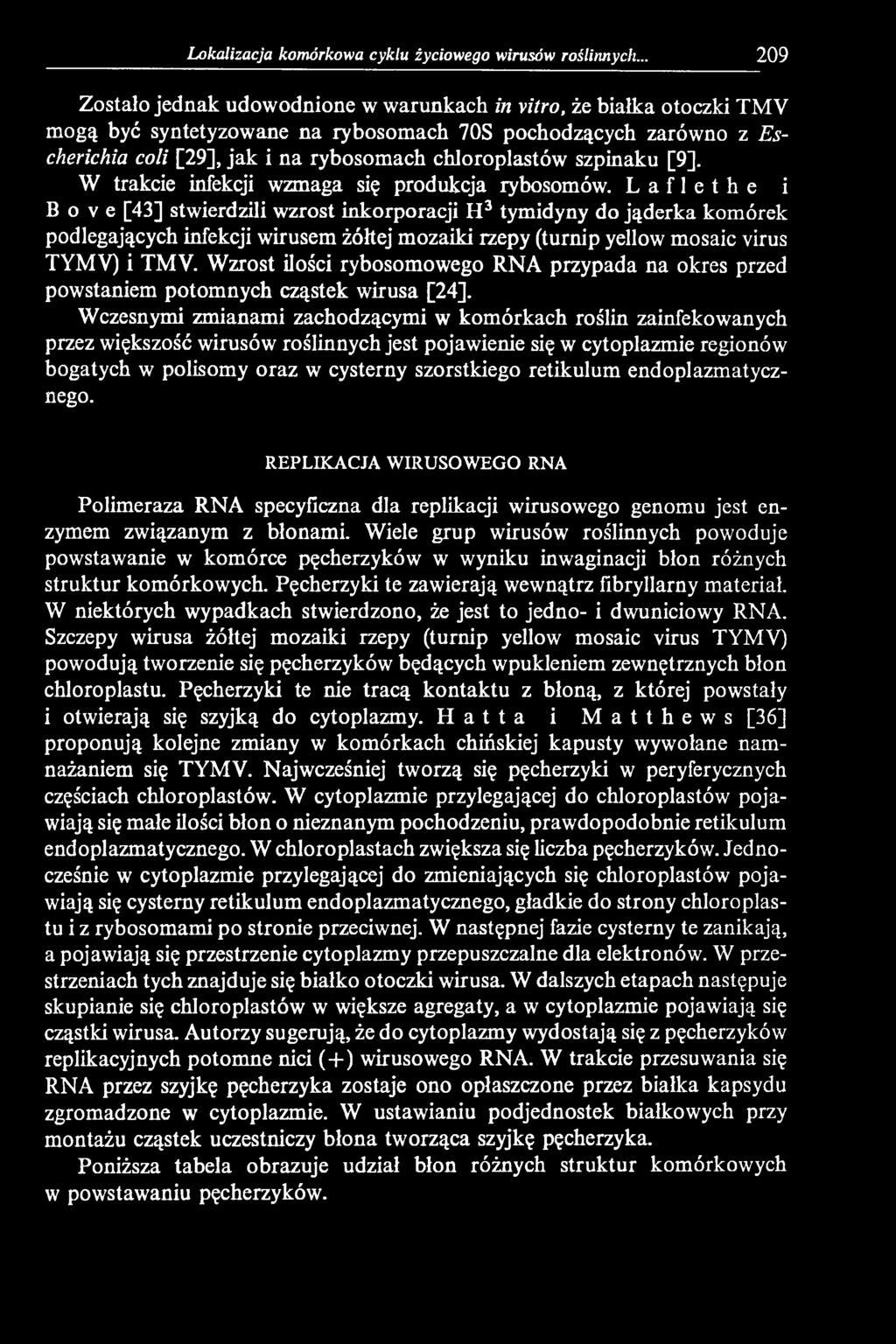 Wzrost ilości rybosomowego RNA przypada na okres przed powstaniem potomnych cząstek wirusa [24].