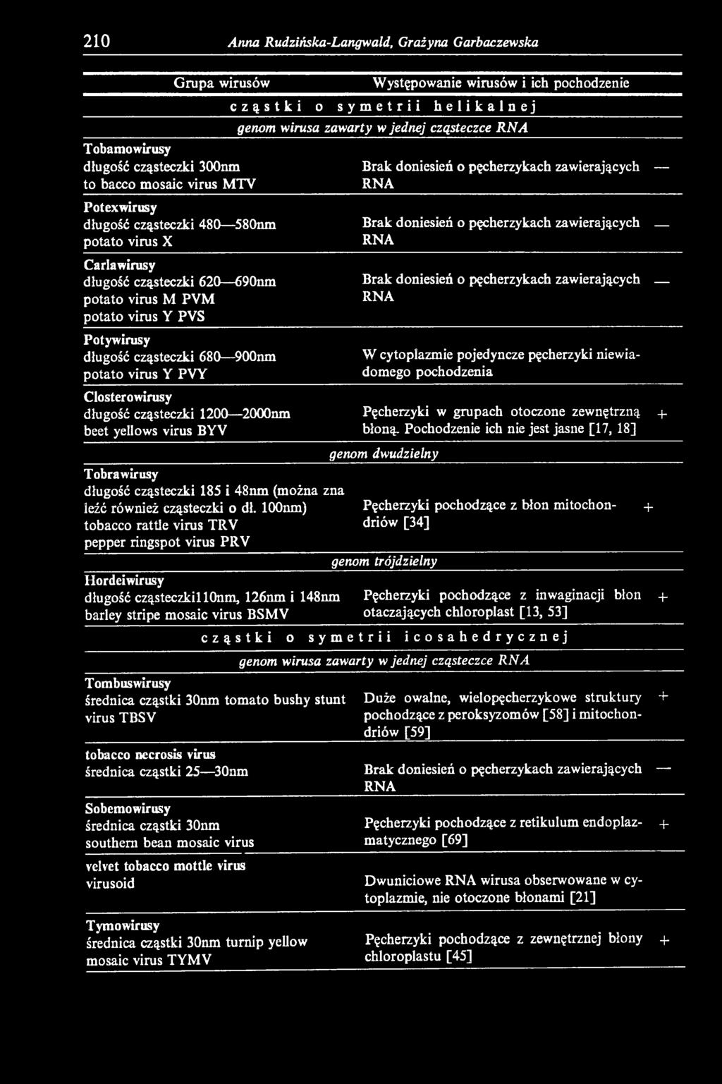 Pochodzenie ich nie jest jasne [17, 18] Tobra wirusy długość cząsteczki 185 i 48nm (można zna leźć również cząsteczki o dł.