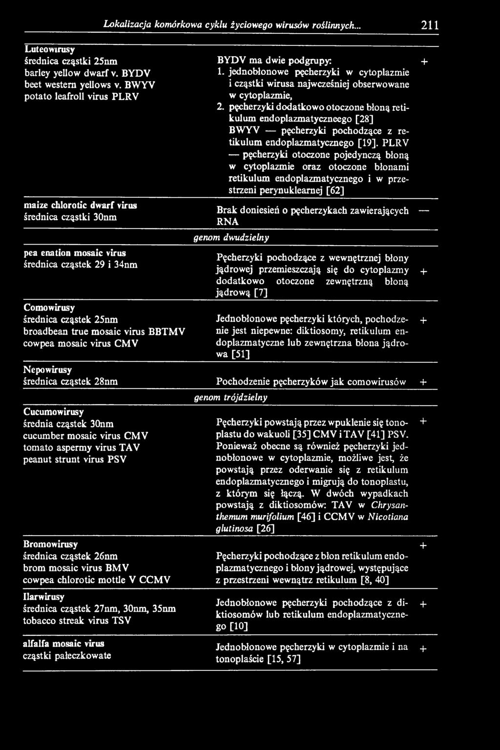 pęcherzyki dodatkowo otoczone błoną retikulum endoplazmatyczneego [28] BWYV pęcherzyki pochodzące z retikulum endoplazmatycznego [19].