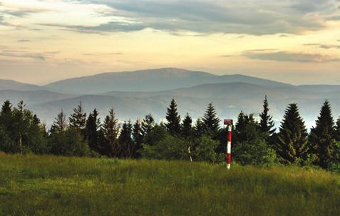 GDZIE WARTO WSTĄPIĆ Hotel & SPA Kocierz Duży ekskluzywny ośrodek konferencyjno-wypoczynkowy, z regionalną karczmą, centrum SPA, basenami, kortami tenisowymi oraz parkiem linowym.