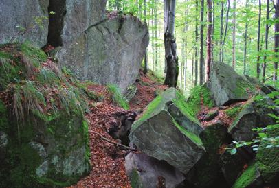 WALORY PARKU jsy i mylonity. Powstały dwie teorie dotyczące tego wyjątkowego usytuowania skał. Jedna mówi o tym, że stanowią one tzw.