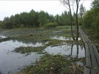 Odkrzaczanie Najprostsza i jedna z
