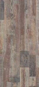 eternal wood