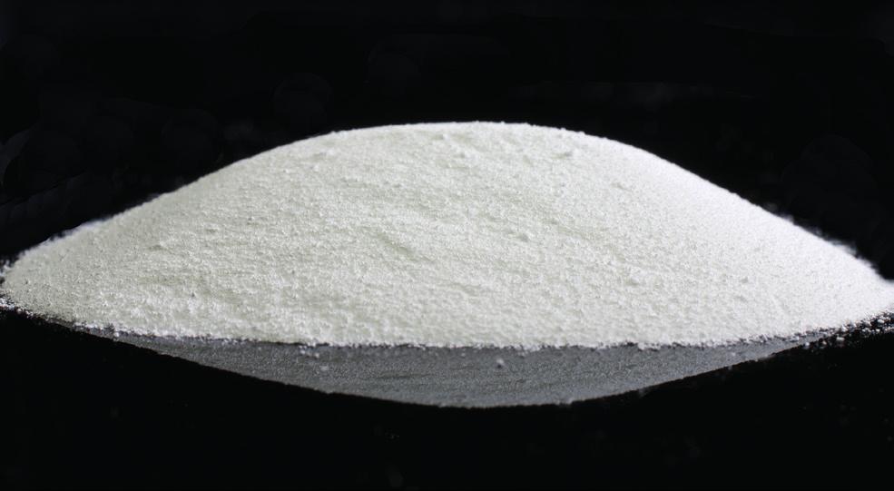 synteryzacji. priti clean Cleaning Powder Proszek czyszczący priti clean zapewnia wolne od zanieczyszczeń produkty synteryzacji. Przeznaczony do użytku w komorze spalania pieca.