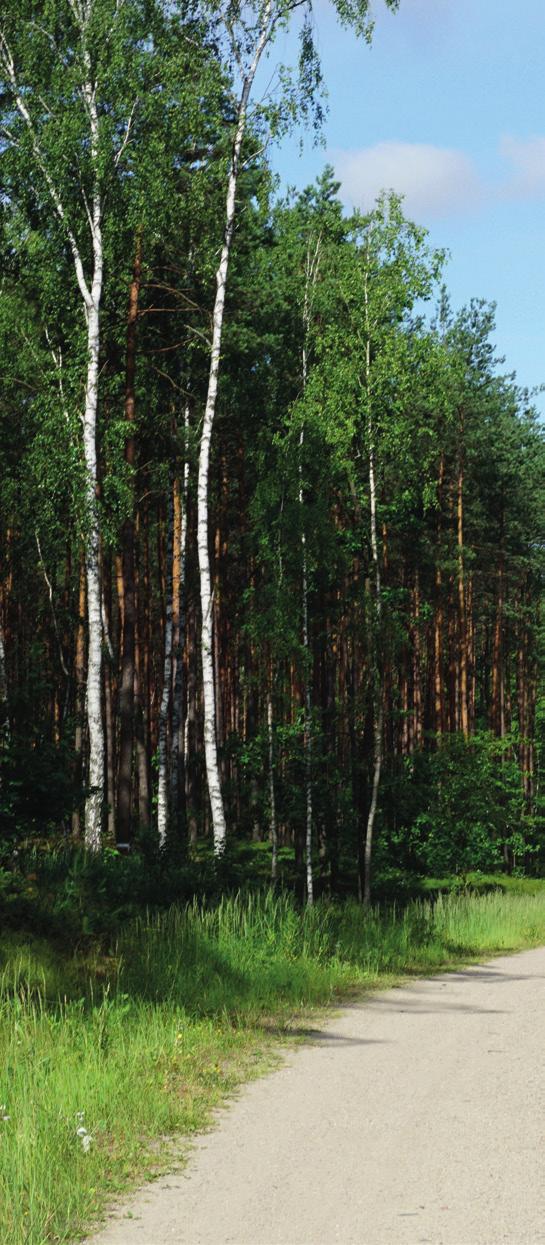 OKOLICA Warszawa Wokół Osady Świerkowy Bór znajduje się wiele atrakcji, które sprawiają że jest ona idealnym miejscem rodzinnego wypoczynku.