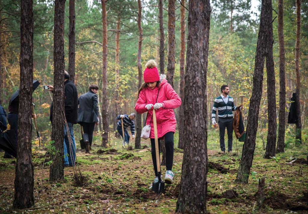 W ostatnich latach stworzyliśmy 12 nowych parków, zmodernizowaliśmy ponad 40 parków, skwerów i zieleńców, powierzchnia lasów wzrosła o 65 ha.