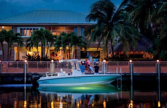 57 Sterowanie cyfrowe Raymarine