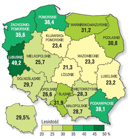 Zadanie 8. (0-1p.) Na mapie w skali 1 : 20 000 odległość mierzona w linii prostej między dwoma obiektami wynosi 12 cm.