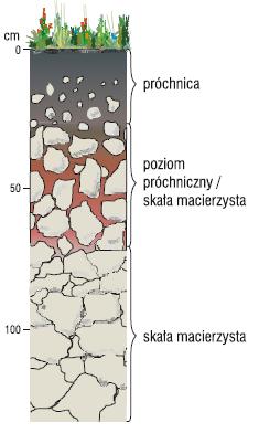 XV Wojewódzki Konkurs z Geografii dla uczniów dotychczasowych gimnazjów oraz klas dotychczasowych