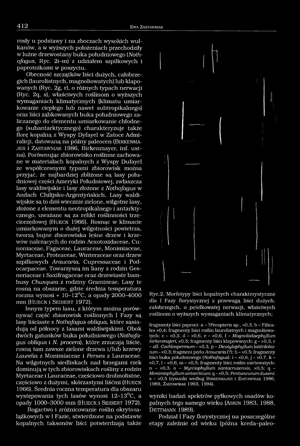 2q, s), właściwych roślinom o wyższych wymaganiach klimatycznych (klimatu umiarkowanie ciepłego lub nawet subtropikalnego) oraz liści ząbkowanych buka południowego zaliczanego do elementu