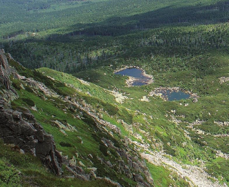 Nadanie tytułu geoparku krajowego nie wiąże się z obowiązkami prawnymi lub materialnymi. Jest to przede wszystkim wyróżnienie dla obszaru, odznaczającego się wybitnymi walorami geologicznymi. Ryc. 16.