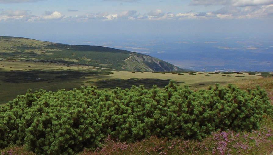 geoturystycznej
