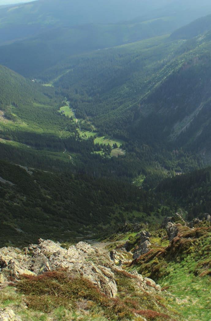 Ryc. 71. Widok ze stoków Śnieżki na Obří důl.