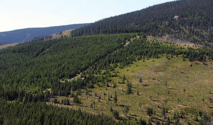 Przystanek 11 sowia przełęcz sowia przełęcz (1164 m 