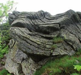 Widok na Skalny Stół z Sowiej Doliny. Ryc. 115. Widok na Skalny Stół z podnóża Karkonoszy. Ryc. 116.