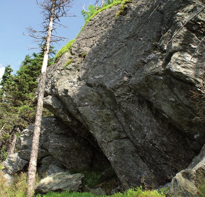 Cały Kowarski Grzbiet tworzy zrównaną powierzchnię szczytową w poziomie ok.1250 m n.p.m. ponad którą wyrastają kulminacje Czoła (1269 m n.p.m.) na wschodzie oraz skalnego stołu na zachodzie.
