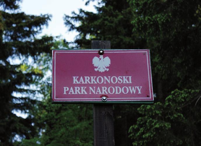 Przystanek 14 Dolina płomnicy to już ostatni przystanek na naszej ścieżce. tutaj na granicy Karkonoskiego parku Narodowego nasza trasa się kończy.
