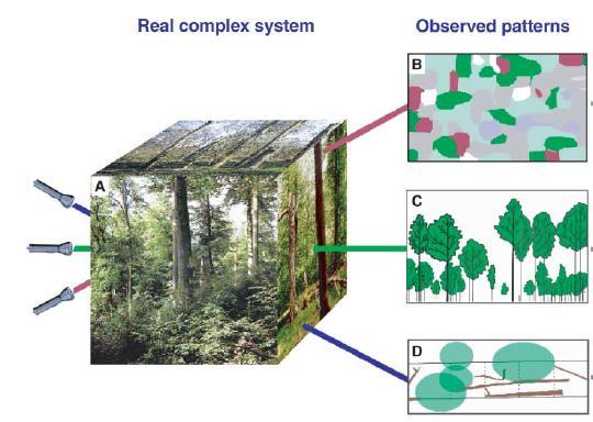 Pattern-oriented modeling (POM) Cel POM - modelowanie bardziej rygorystyczne i wszechstronne Strategia wyjaśnienie obserwowanych wzorów Wzory niosą w sobie informację o