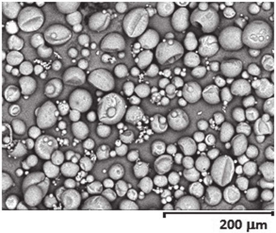 56 K. Samborska, A. Jedlińska, O. Dudek, A. Kamińska-Dwórznicka Rys. 1. Cząstki proszku miodowego bezpośrednio po suszeniu (pow. 500 ) Fig. 1. Particles of honey powder directly after drying (mag.