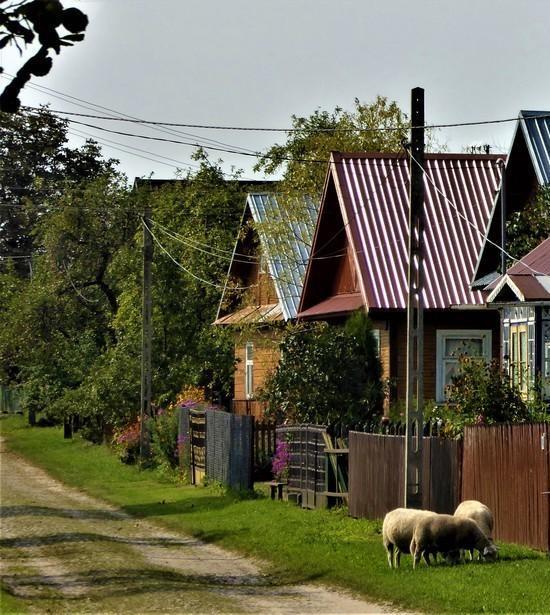 Rozwój lokalny Kwota dofinansowania programu ze środków EOG i norweskich: 100 000 000 EUR Współfinansowanie krajowe programu: 17 647 058 EUR