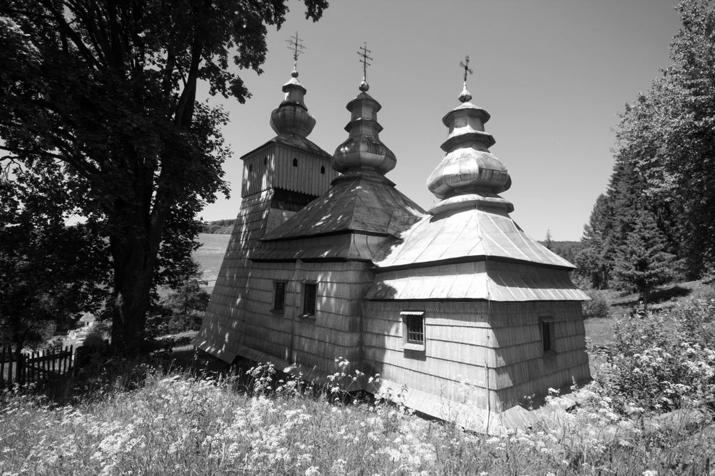 Agnieszka Gronek Dubne, cerkiew św. Archanioła Michała, widok od południowego-wschodu, fot. Piotr Krawiec (pow. lubaczowski)20.