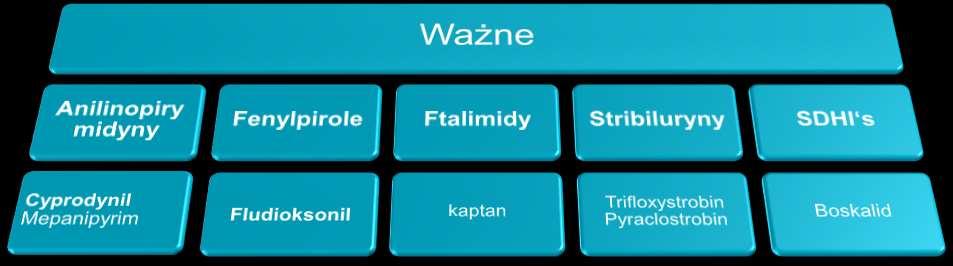Wśród substancje aktywnych, istotnych